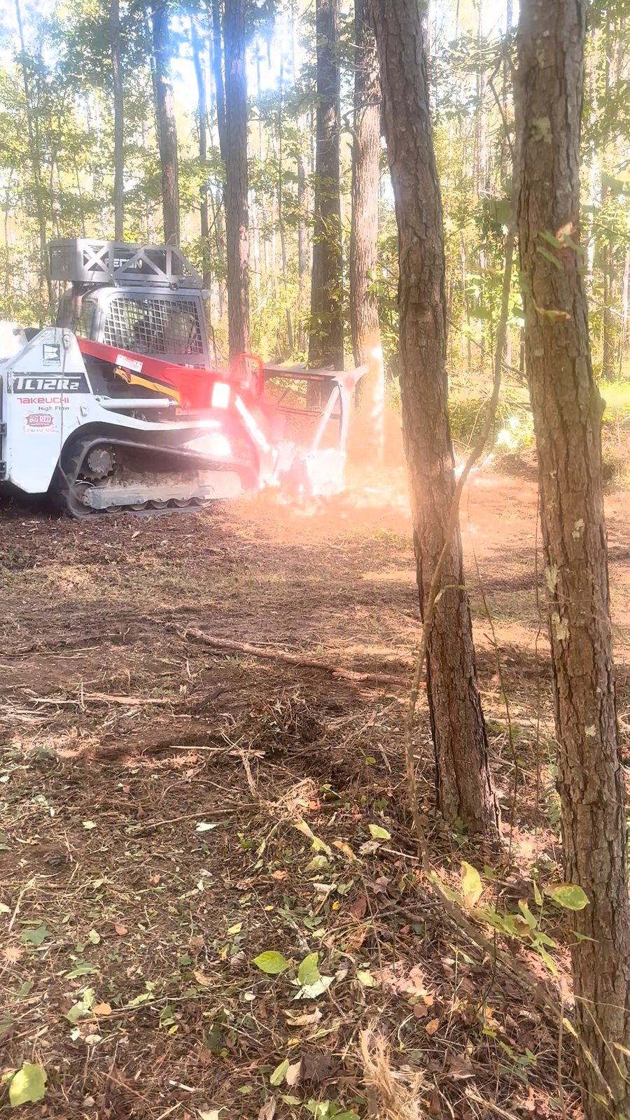 Forestry mulcher working wooded acreage in Springville, AL
