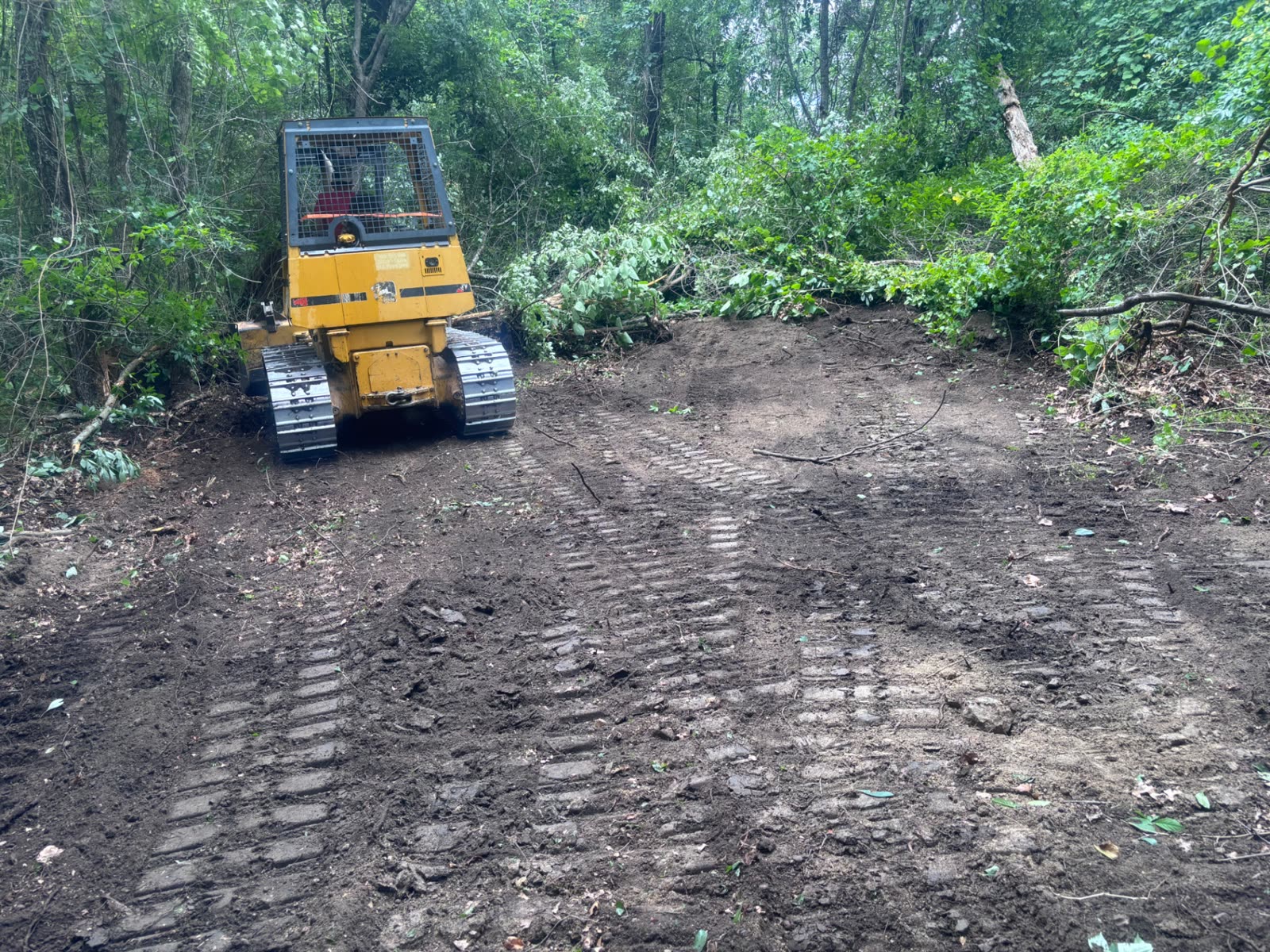 Skid steer cutting an access trail through a wooded hillside for a geotechnical drill rig — Archon Land Management, Birmingham AL