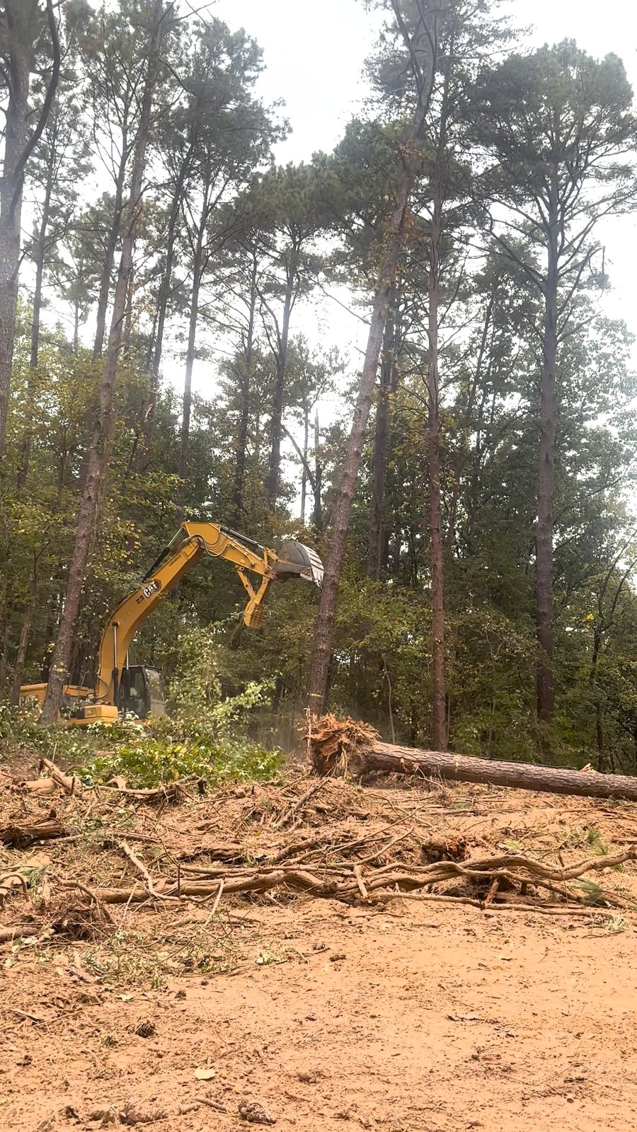 Excavator felling trees during land clearing in Gardendale, AL