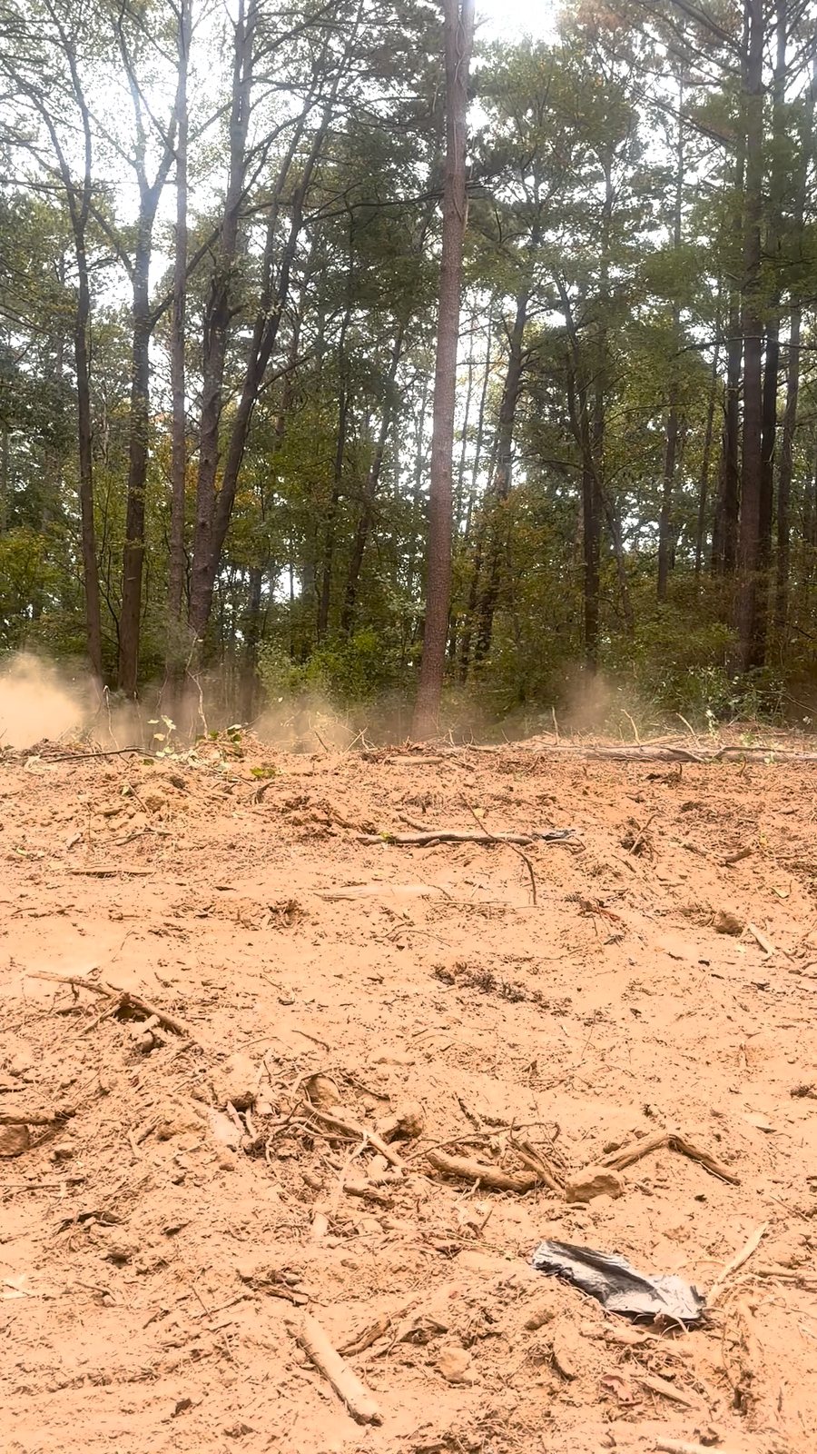 Cleared work area during a Gardendale land clearing project — in progress