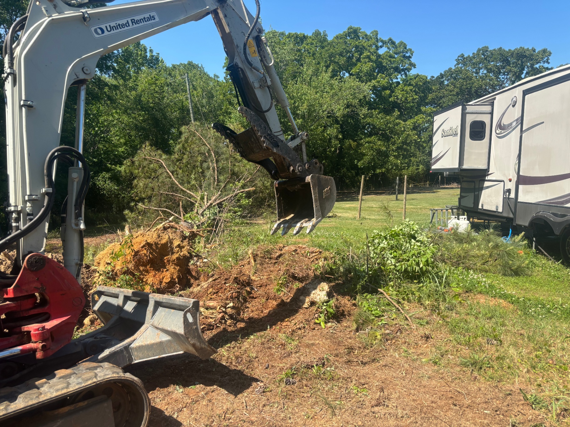 Tree Removal services in Birmingham, Alabama by Archon Land Management LLC